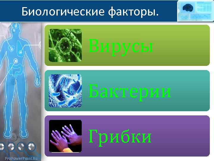 Биологические факторы. Вирусы Бактерии Грибки Pro. Power. Point. Ru 