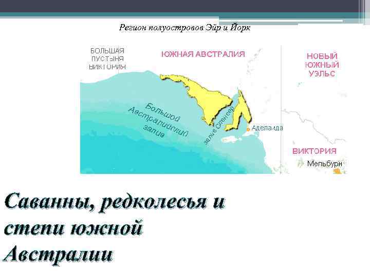 Регион полуостровов Эйр и Йорк Саванны, редколесья и степи южной Австралии 