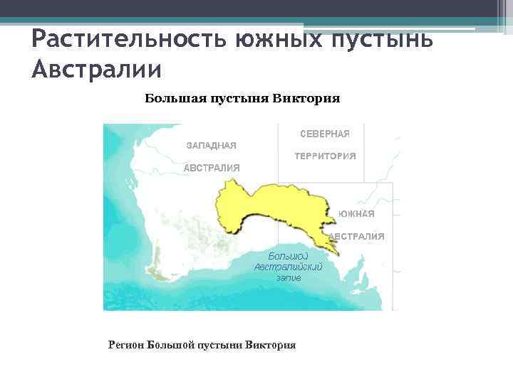 Растительность южных пустынь Австралии Большая пустыня Виктория Регион Большой пустыни Виктория 