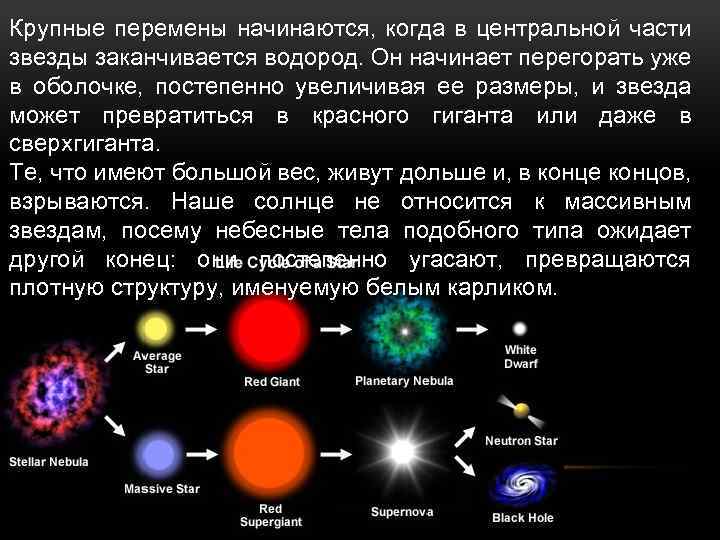 Части звезды