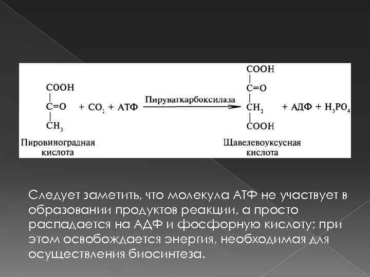 Следует заметить, что молекула АТФ не участвует в образовании продуктов реакции, а просто распадается