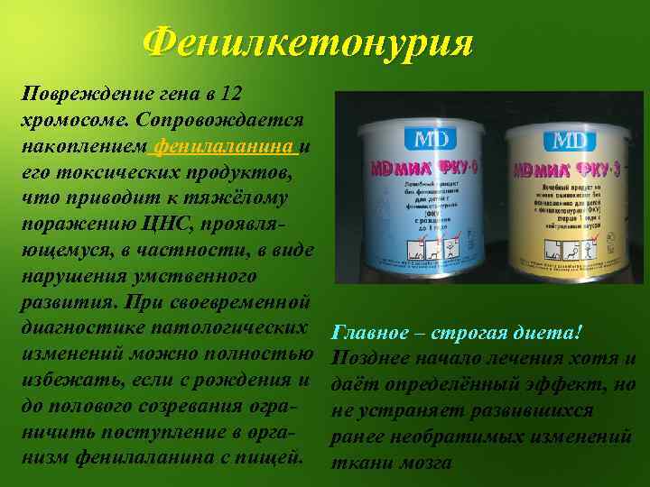 Фенилкетонурия Повреждение гена в 12 хромосоме. Сопровождается накоплением фенилаланина и его токсических продуктов, что