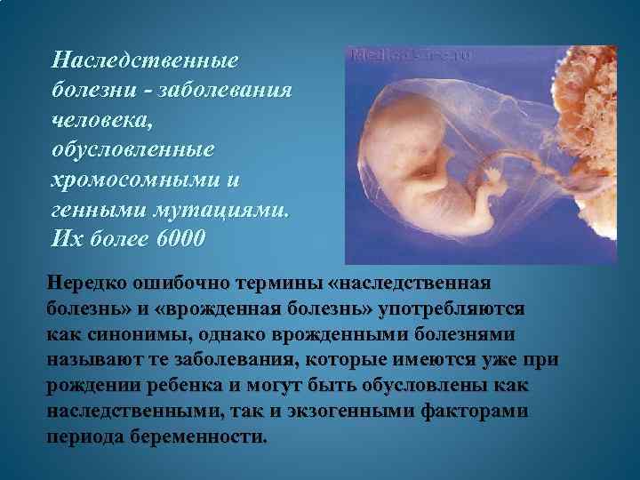 Наследственные болезни - заболевания человека, обусловленные хромосомными и генными мутациями. Их более 6000 Нередко