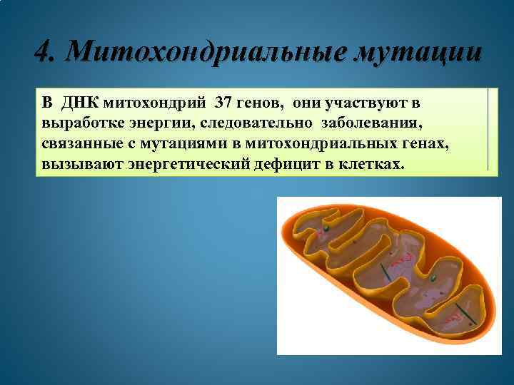 4. Митохондриальные мутации В ДНК митохондрий 37 генов, они участвуют в выработке энергии, следовательно