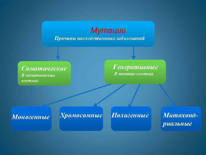 Мутации Причины наследственных заболеваний Соматические В соматических клетках Моногенные Хромосомные Генеративные В половых клетках