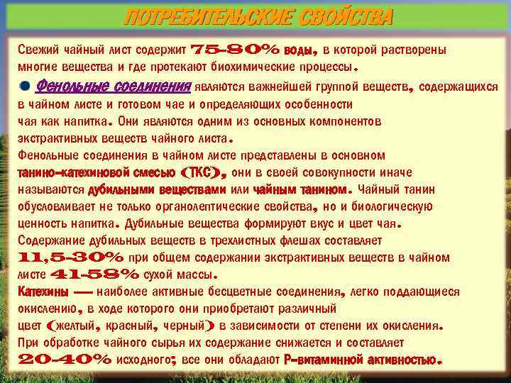 ПОТРЕБИТЕЛЬСКИЕ СВОЙСТВА Свежий чайный лист содержит 75 -80% воды, в которой растворены многие вещества