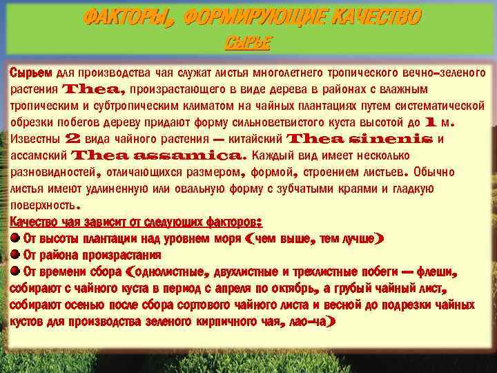ФАКТОРЫ, ФОРМИРУЮЩИЕ КАЧЕСТВО СЫРЬЕ Сырьем для производства чая служат листья многолетнего тропического вечно-зеленого растения