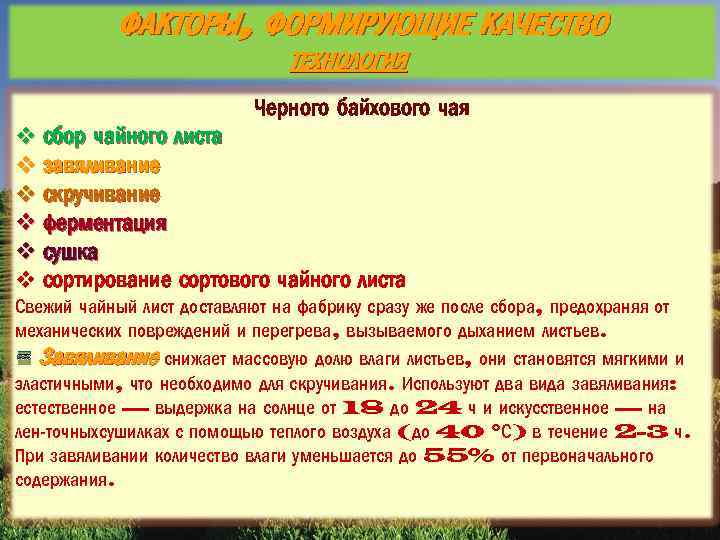 ФАКТОРЫ, ФОРМИРУЮЩИЕ КАЧЕСТВО ТЕХНОЛОГИЯ Черного байхового чая v сбор чайного листа v завяливание v