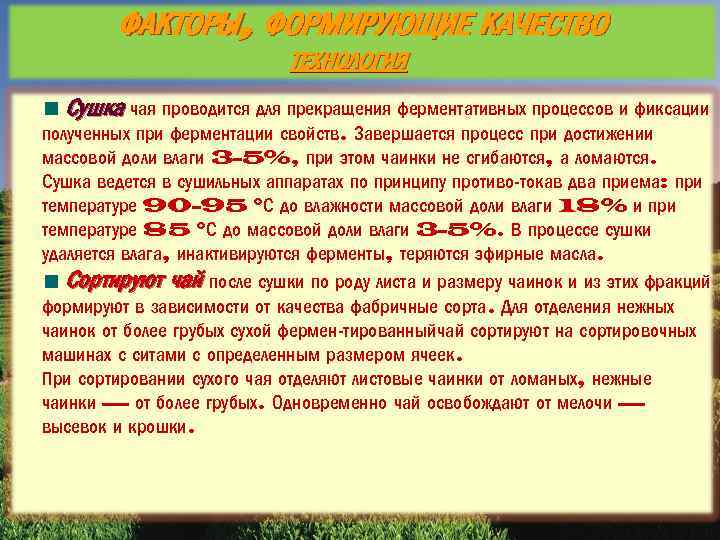 ФАКТОРЫ, ФОРМИРУЮЩИЕ КАЧЕСТВО ТЕХНОЛОГИЯ Сушка чая проводится для прекращения ферментативных процессов и фиксации полученных