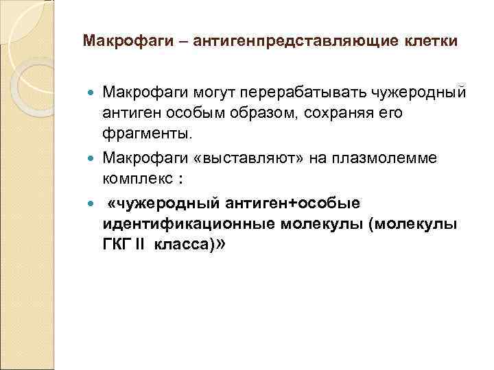 Макрофаги – антигенпредставляющие клетки Макрофаги могут перерабатывать чужеродный антиген особым образом, сохраняя его фрагменты.