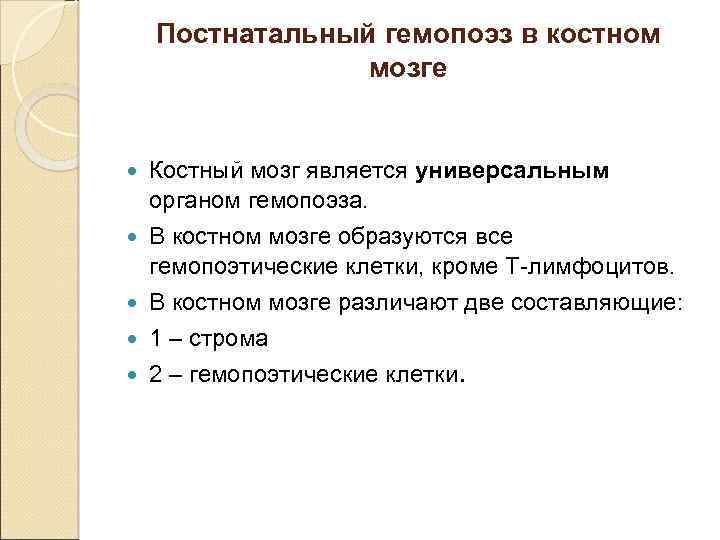 Постнатальный гемопоэз в костном мозге Костный мозг является универсальным органом гемопоэза. В костном мозге