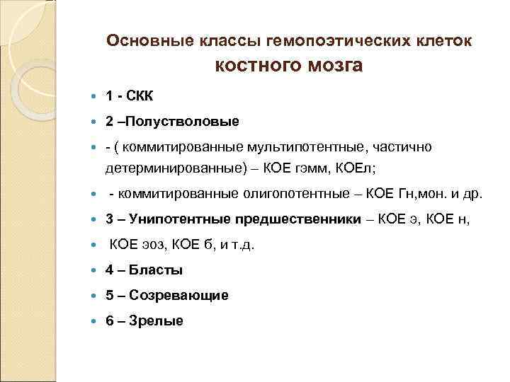 Основные классы гемопоэтических клеток костного мозга 1 - СКК 2 –Полустволовые - ( коммитированные