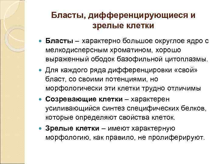 Бласты, дифференцирующиеся и зрелые клетки Бласты – характерно большое округлое ядро с мелкодисперсным хроматином,