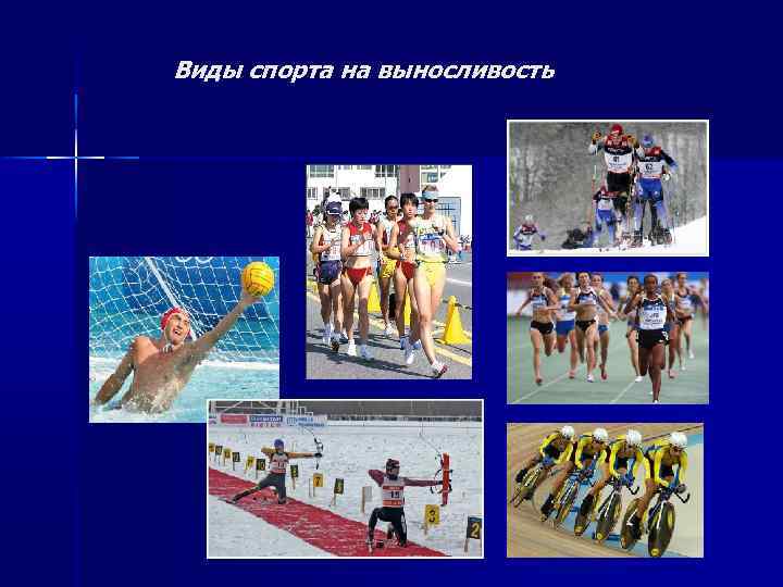 Виды спорта на выносливость 