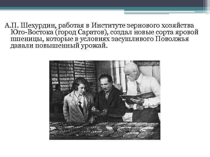 А. П. Шехурдин, работая в Институте зернового хозяйства Юго-Востока (город Саратов), создал новые сорта
