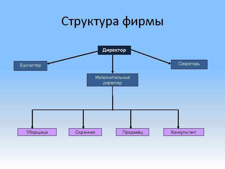 Структура фирмы Директор Секретарь Бухгалтер Исполнительный директор Уборщица Охранник Продавец Консультант 