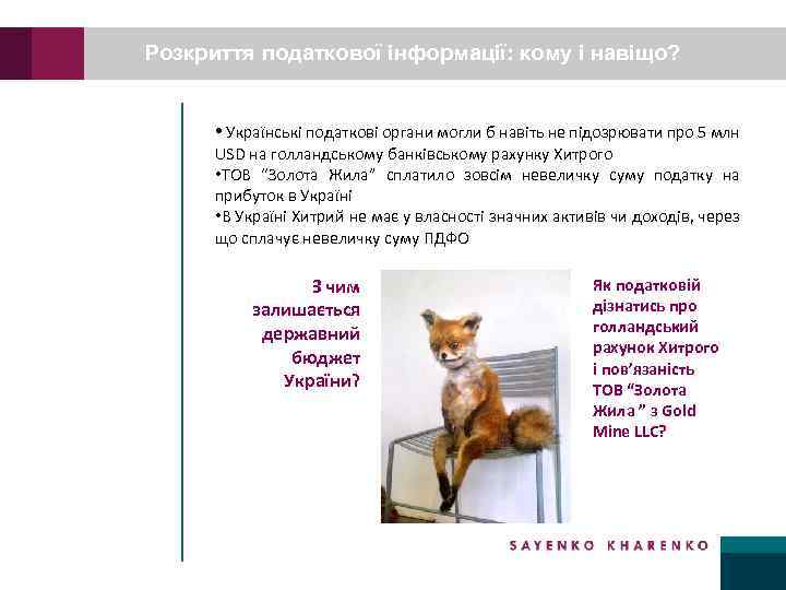 Розкриття податкової інформації: кому і навіщо? • Українські податкові органи могли б навіть не