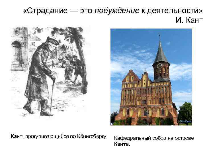  «Страдание — это побуждение к деятельности» И. Кант, прогуливающийся по Кёнигсбергу Кафедральный собор