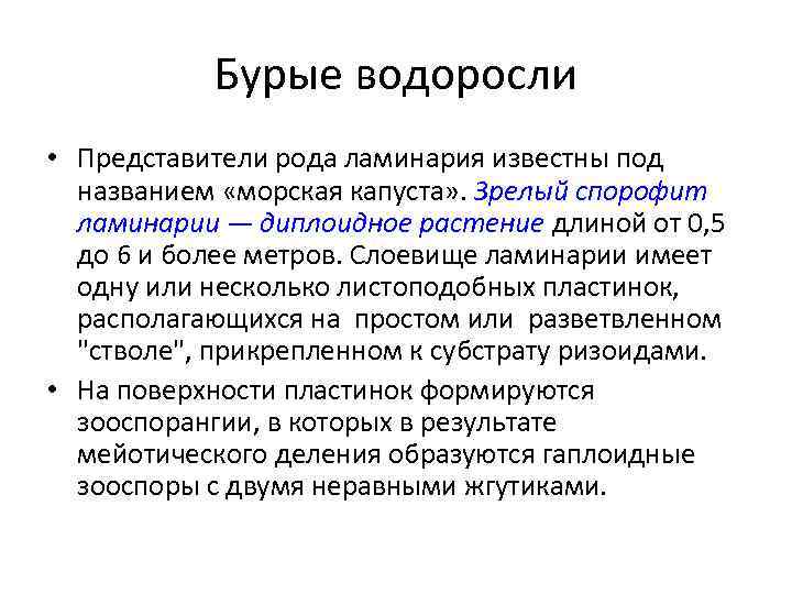 Бурые водоросли • Представители рода ламинария известны под названием «морская капуста» . Зрелый спорофит