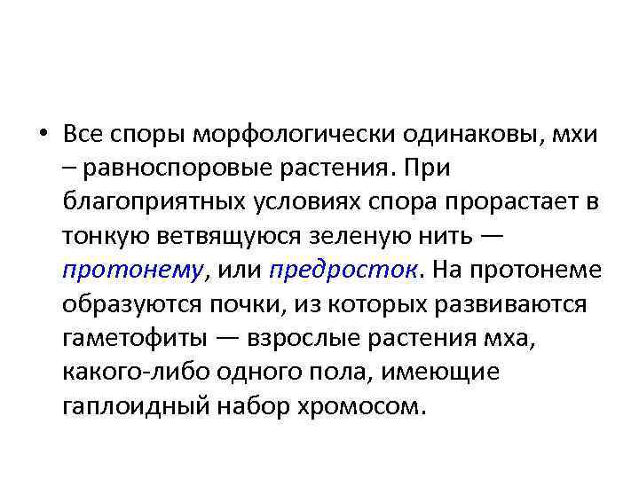 • Все споры морфологически одинаковы, мхи – равноспоровые растения. При благоприятных условиях спора