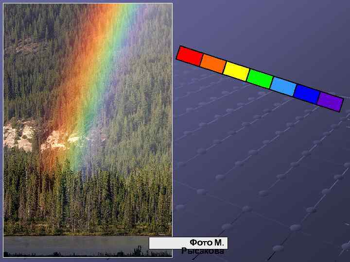 Фото М. Рысакова 