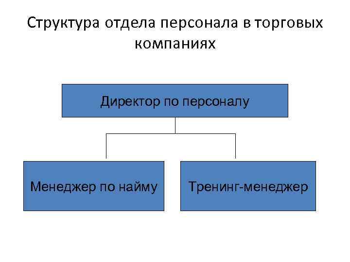 Структура отдела персонала в торговых компаниях Директор по персоналу Менеджер по найму Тренинг-менеджер 