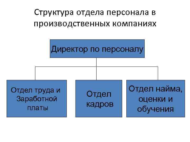 Структура отдела персонала в производственных компаниях Директор по персоналу Отдел труда и Заработной платы