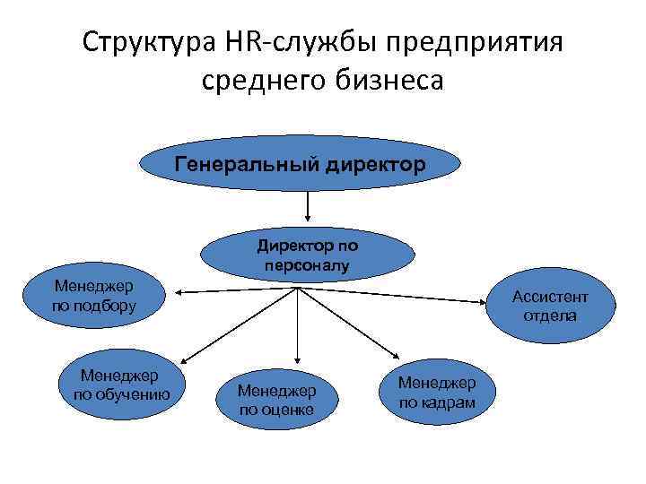 Структура HR-службы предприятия среднего бизнеса Генеральный директор Директор по персоналу Менеджер по подбору Менеджер