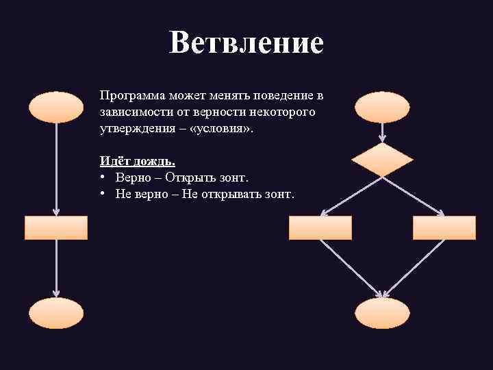 Ветвление Программа может менять поведение в зависимости от верности некоторого утверждения – «условия» .