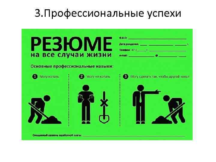 3. Профессиональные успехи 