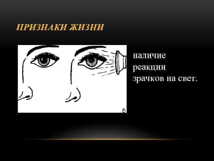 ПРИЗНАКИ ЖИЗНИ наличие реакции зрачков на свет. 