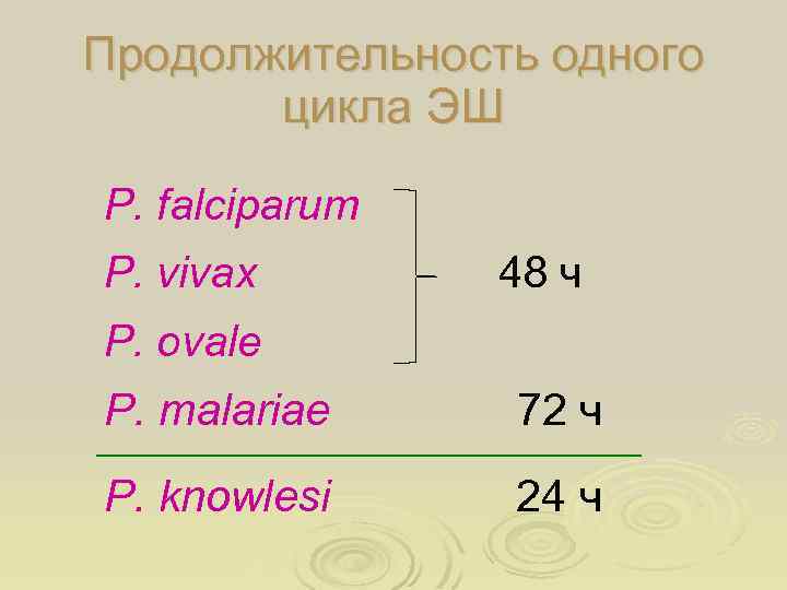 Продолжительность одного цикла ЭШ P. falciparum P. vivax 48 ч P. ovale P. malariae