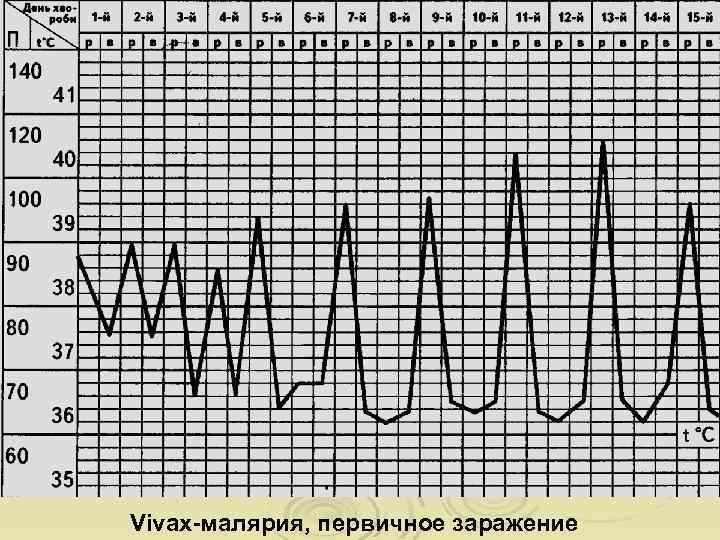 Vivax-малярия, первичное заражение 