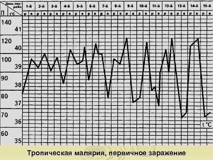 Тропическая малярия, первичное заражение 