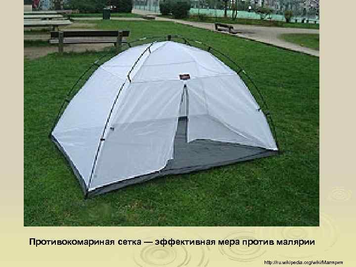 Противокомариная сетка — эффективная мера против малярии http: //ru. wikipedia. org/wiki/Малярия 
