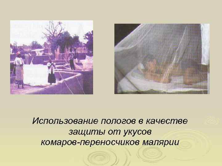 Использование пологов в качестве защиты от укусов комаров-переносчиков малярии 