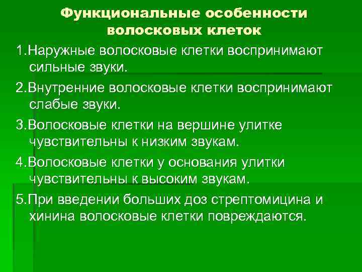 Функциональные особенности волосковых клеток 1. Наружные волосковые клетки воспринимают сильные звуки. 2. Внутренние волосковые