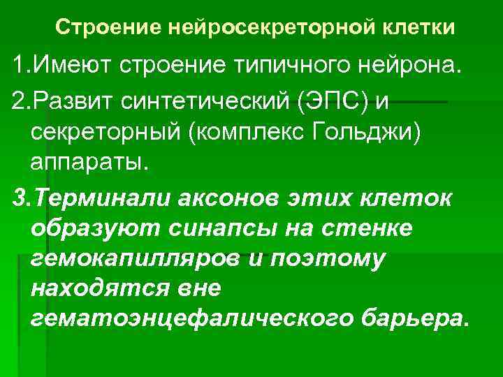 Строение нейросекреторной клетки 1. Имеют строение типичного нейрона. 2. Развит синтетический (ЭПС) и секреторный