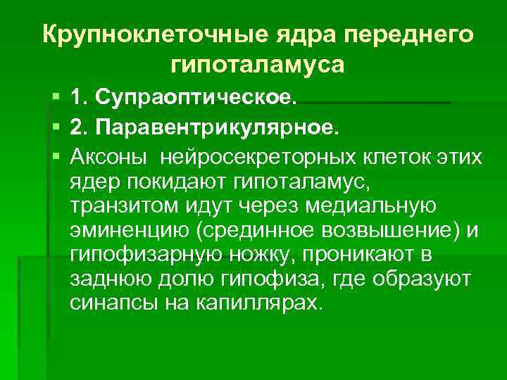 Крупноклеточные ядра переднего гипоталамуса § 1. Супраоптическое. § 2. Паравентрикулярное. § Аксоны нейросекреторных клеток