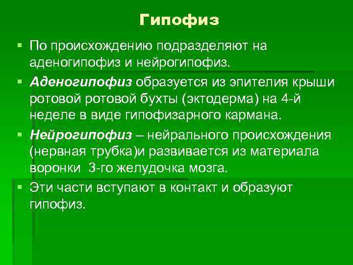 Гипофиз § По происхождению подразделяют на аденогипофиз и нейрогипофиз. § Аденогипофиз образуется из эпителия