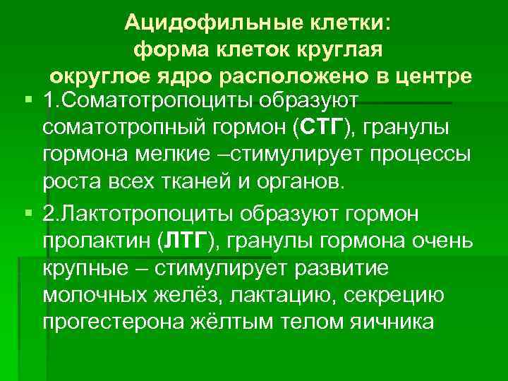 Ацидофильные клетки: форма клеток круглая округлое ядро расположено в центре § 1. Соматотропоциты образуют