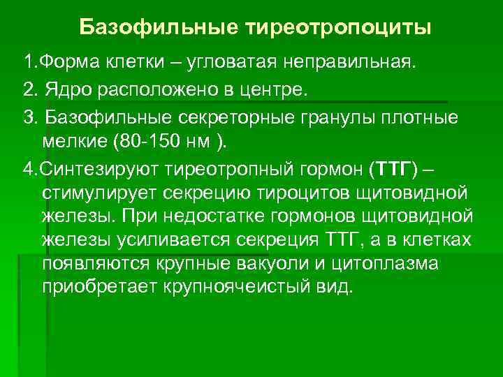 Базофильные тиреотропоциты 1. Форма клетки – угловатая неправильная. 2. Ядро расположено в центре. 3.