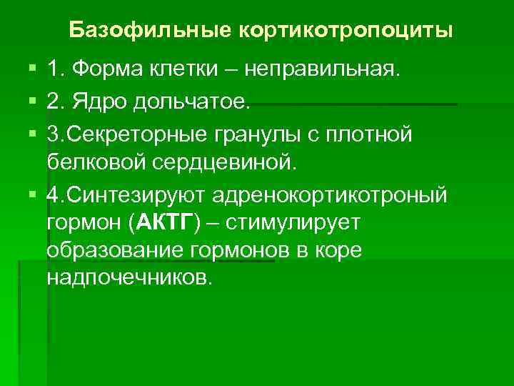 Базофильные кортикотропоциты § 1. Форма клетки – неправильная. § 2. Ядро дольчатое. § 3.