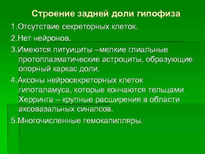 Строение задней доли гипофиза 1. Отсутствие секреторных клеток. 2. Нет нейронов. 3. Имеются питуициты