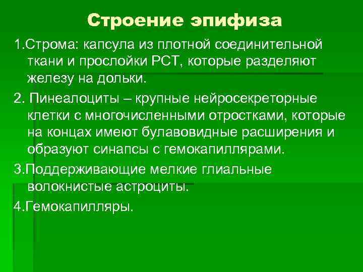 Строение эпифиза 1. Строма: капсула из плотной соединительной ткани и прослойки РСТ, которые разделяют