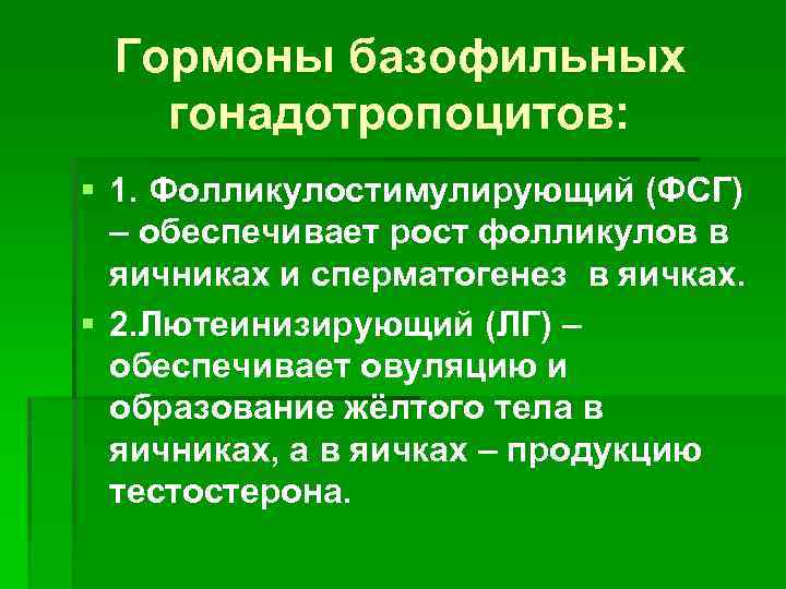 Гормоны базофильных гонадотропоцитов: § 1. Фолликулостимулирующий (ФСГ) – обеспечивает рост фолликулов в яичниках и