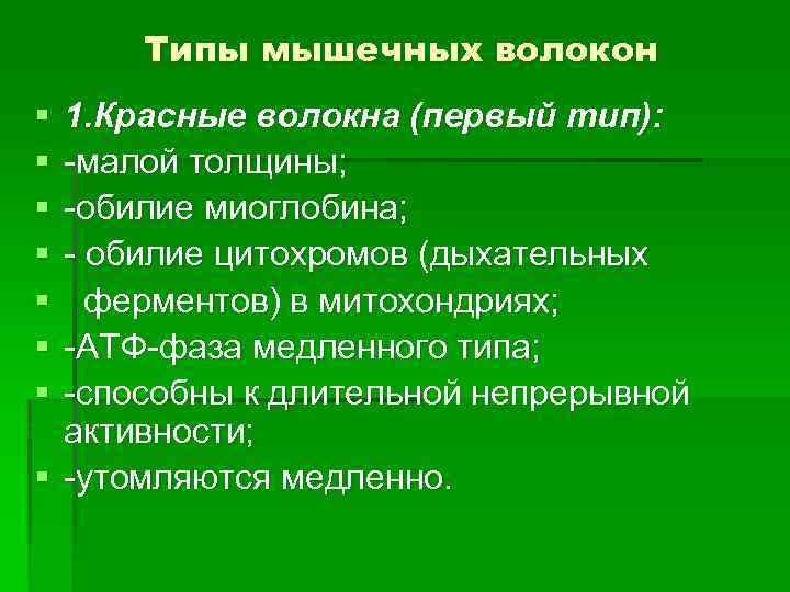 Типы мышечных волокон § § § § 1. Красные волокна (первый тип): -малой толщины;