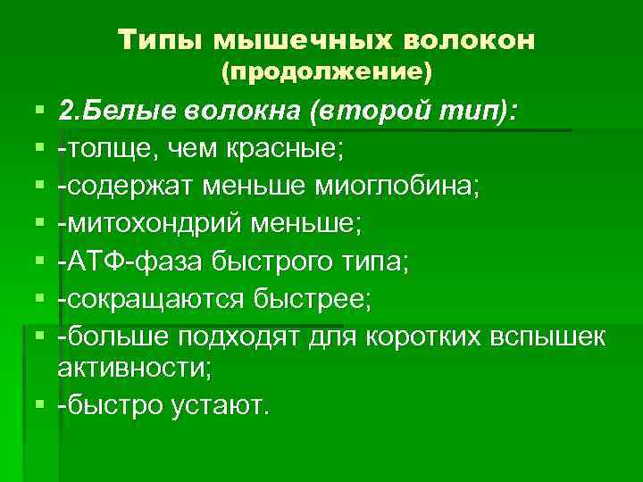 Типы мышечных волокон (продолжение) § § § § 2. Белые волокна (второй тип): -толще,