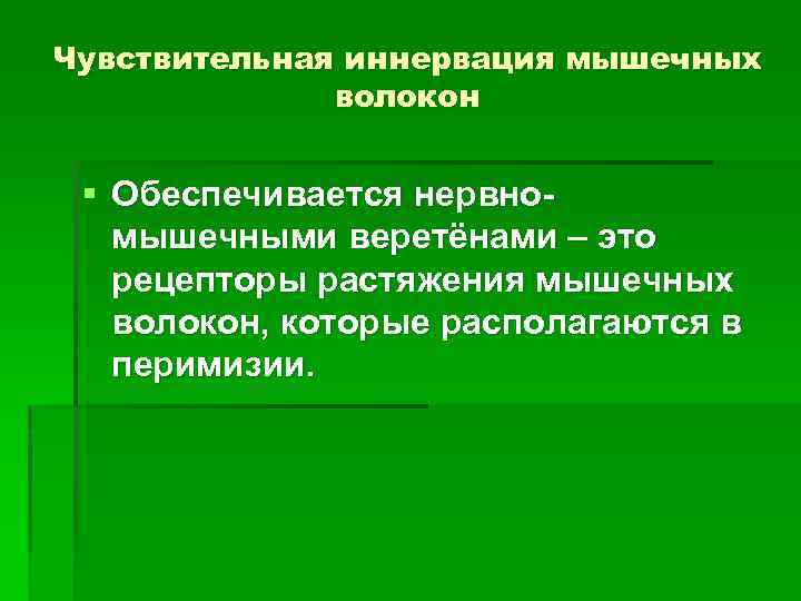 Чувствительная иннервация мышечных волокон § Обеспечивается нервномышечными веретёнами – это рецепторы растяжения мышечных волокон,