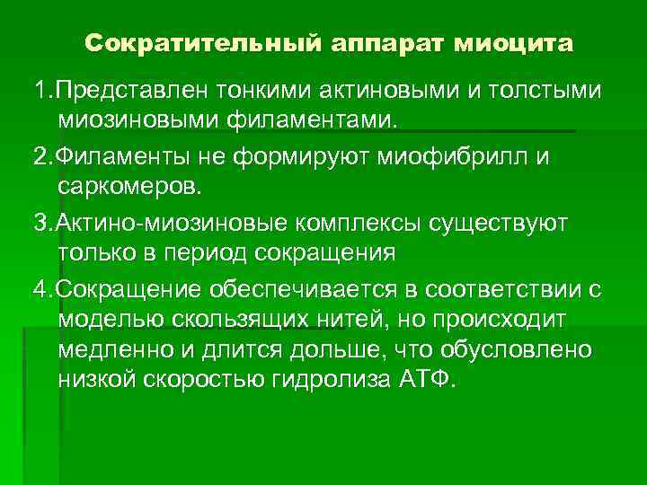 Сократительный аппарат миоцита 1. Представлен тонкими актиновыми и толстыми миозиновыми филаментами. 2. Филаменты не